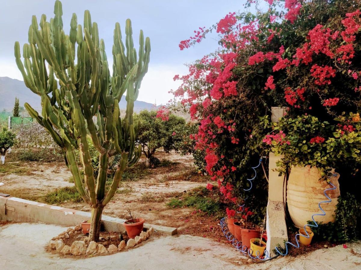 La Vie En Rose Lejlighed Cartagena Eksteriør billede